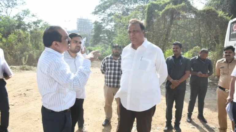 आरे में 65 एकड़ ज़मीन पर पेड़ लगाने का प्लान – गार्डियन मिनिस्टर एडवोकेट आशीष शेलार आरे में 65 एकड़ ज़मीन पर पेड़ लगाने का प्लान – गार्डियन मिनिस्टर एडवोकेट आशीष शेलार