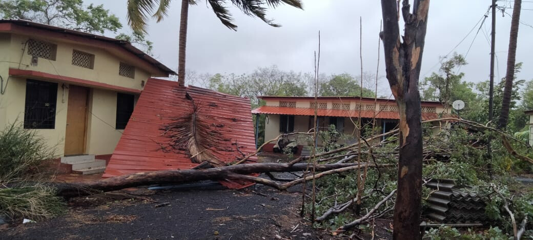 सिंधुदुर्ग जिले में तूफ़ान  ने किया 'इतना नुकसान'