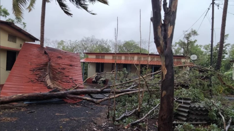 कोकण किनारपट्टीच्या सुरक्षेसाठी राज्य सरकारने आखली ‘ही’ योजना कोकण किनारपट्टीच्या सुरक्षेसाठी राज्य सरकारने आखली ‘ही’ योजना