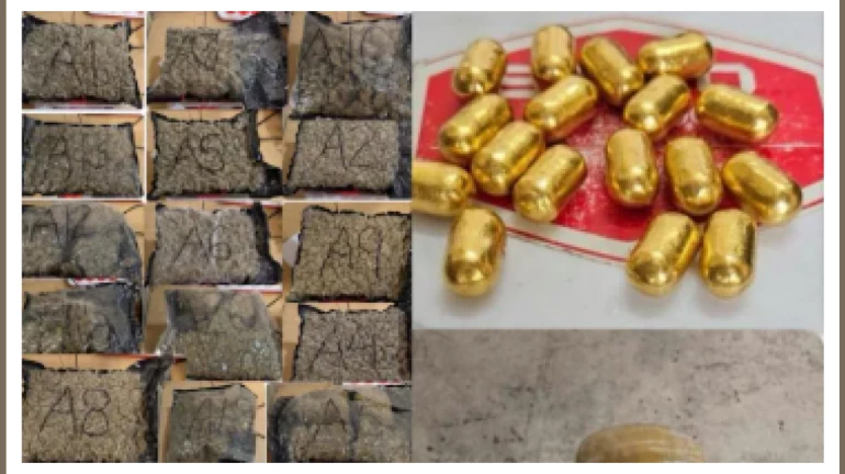 Mumbai Airport Officials Seize Drugs, Exotic Wildlife And Gold Worth Over ₹11 Crores Mumbai Airport Officials Seize Drugs, Exotic Wildlife And Gold Worth Over ₹11 Crores