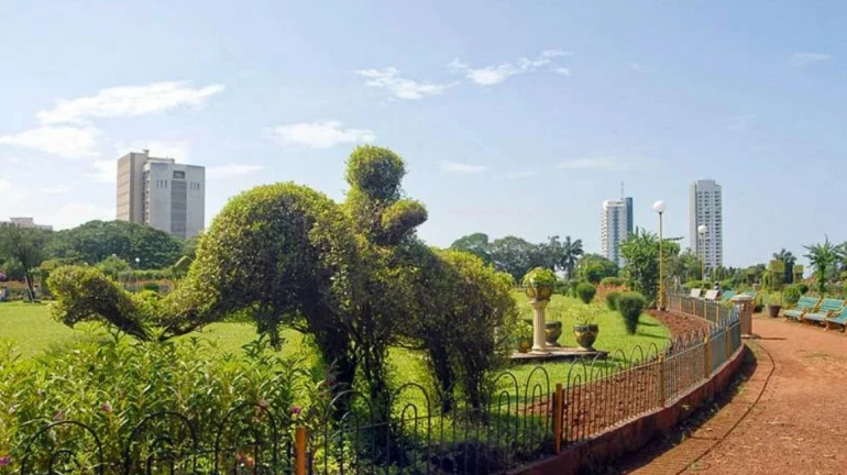 दक्षिण मुंबईतील 'या' गार्डन्सचा होणार कायापालट दक्षिण मुंबईतील 'या' गार्डन्सचा होणार कायापालट