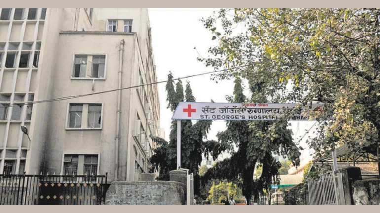 सेंट जॉर्ज हॉस्पिटलमध्ये 2025 मध्ये सुरू होणार यकृत प्रत्यारोपण प्रोग्राम सेंट जॉर्ज हॉस्पिटलमध्ये 2025 मध्ये सुरू होणार यकृत प्रत्यारोपण प्रोग्राम