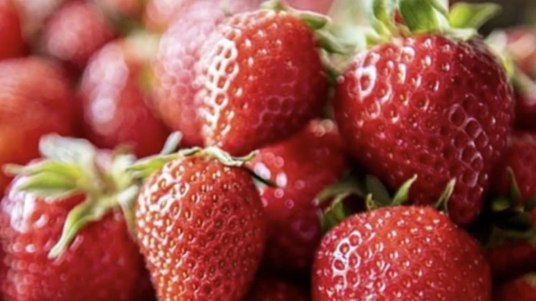 वाशी मार्केटमध्ये स्ट्रॉबेरी दाखल वाशी मार्केटमध्ये स्ट्रॉबेरी दाखल
