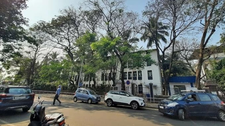 नवी मुंबई: शाळेच्या वॉशरूममध्ये 11 वर्षीय मुलीचा मृतदेह आढळला नवी मुंबई: शाळेच्या वॉशरूममध्ये 11 वर्षीय मुलीचा मृतदेह आढळला