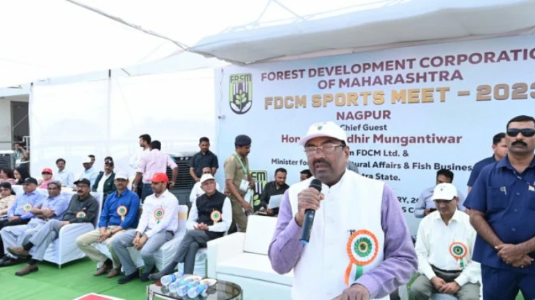 राज्य में शुरू होगा वन औद्योगिक विकास निगम - वन मंत्री सुधीर मुनगंटीवार