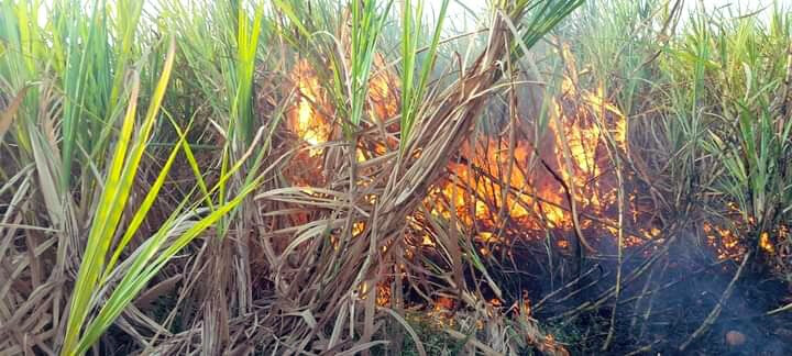 हीच का शिवसेनेला अभिप्रेत शिवशाही?, देवेंद्र फडणवीसांचा प्रश्न