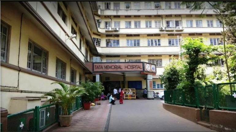 टाटा मेमोरियल सेंटर को व्यापक कैंसर देखभाल के लिए अत्याधुनिक डिजिटल सबट्रैक्शन एंजियोग्राफी सिस्टम मिलेगा टाटा मेमोरियल सेंटर को व्यापक कैंसर देखभाल के लिए अत्याधुनिक डिजिटल सबट्रैक्शन एंजियोग्राफी सिस्टम मिलेगा