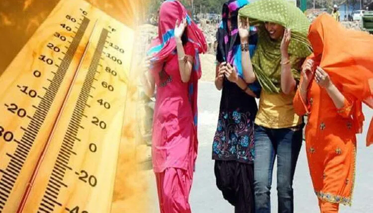 Here's How You Can Cope With Rising Temperatures & Heatwave Conditions