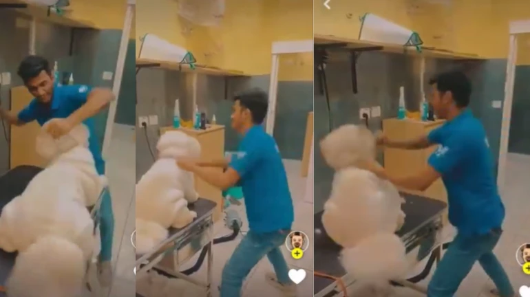 ठाणे - कुत्ते के साथ दुर्व्यवहार का मामले मे फुटेज प्रसारित करने वालों के खिलाफ मामला दर्ज ठाणे - कुत्ते के साथ दुर्व्यवहार का मामले मे फुटेज प्रसारित करने वालों के खिलाफ मामला दर्ज