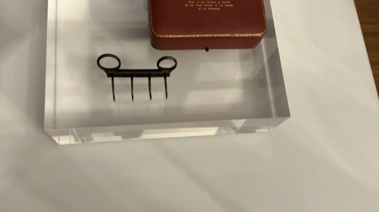 लंडनच्या संग्रहालयातून वाघ नख लवकरच भारतात आणणार लंडनच्या संग्रहालयातून वाघ नख लवकरच भारतात आणणार