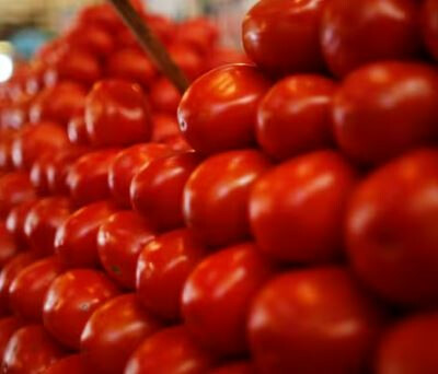 मुंबईसह संपूर्ण महाराष्ट्रात टोमॅटोच्या किमती 100 च्या पार
