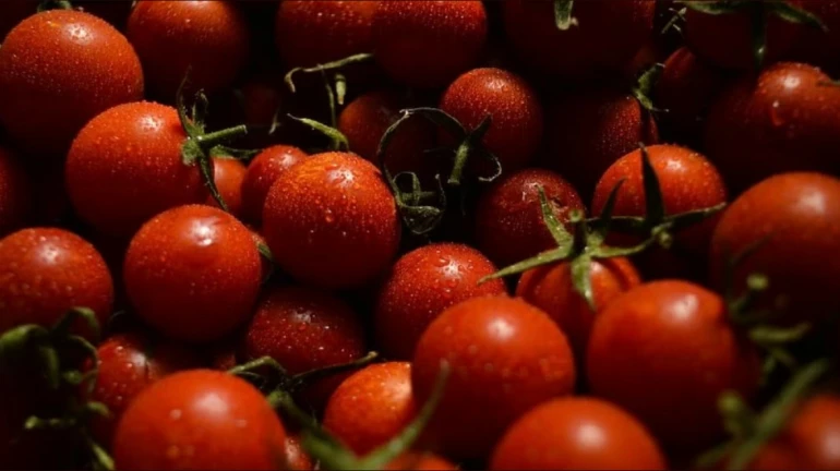 Mumbai: Tomatoes Getting Expensive Than Petrol? Other Vegetable Prices Too Soar High Mumbai: Tomatoes Getting Expensive Than Petrol? Other Vegetable Prices Too Soar High