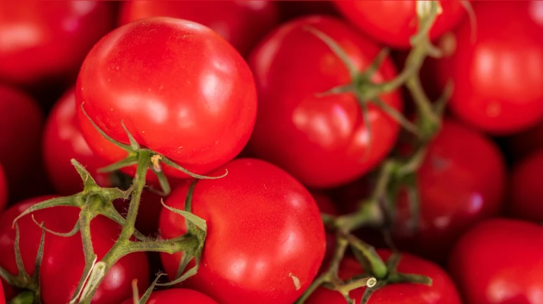 Pune-based farmer becomes 'crorepati' through sale of tomatoes amid price surge Pune-based farmer becomes 'crorepati' through sale of tomatoes amid price surge