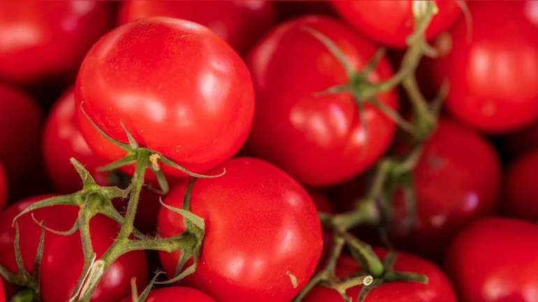 Pune-based farmer becomes 'crorepati' through sale of tomatoes amid price surge