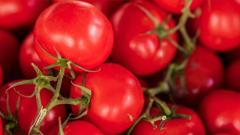 Mumbai: Tomato prices soar at wholesale markets by INR 30-40 Mumbai: Tomato prices soar at wholesale markets by INR 30-40