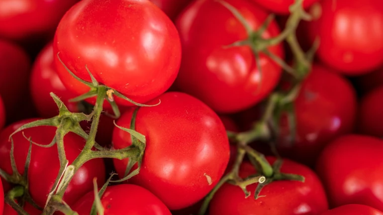 नवी मुंबईत 'इथे' होतेय टोमॅटोची फक्त 20 रुपयांत विक्री नवी मुंबईत 'इथे' होतेय टोमॅटोची फक्त 20 रुपयांत विक्री