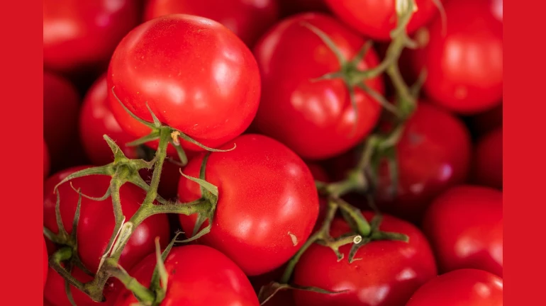Mumbai: Retail price of tomato reaches INR 200 per kg Mumbai: Retail price of tomato reaches INR 200 per kg