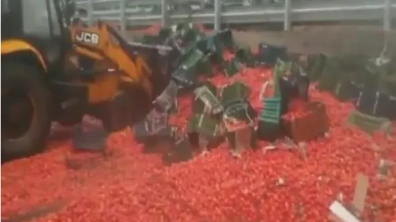 Video Shows the Aftermath of 20 Tons of Tomatoes Falling off a Truck