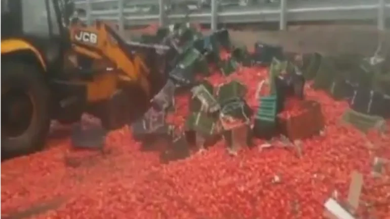Video Shows the Aftermath of 20 Tons of Tomatoes Falling off a Truck Video Shows the Aftermath of 20 Tons of Tomatoes Falling off a Truck