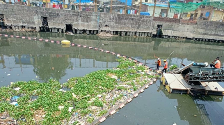 मुंबई, ठाण्यातील प्रमुख नाल्यांवर 14 ट्रॅश बुम बसवण्यात येणार मुंबई, ठाण्यातील प्रमुख नाल्यांवर 14 ट्रॅश बुम बसवण्यात येणार