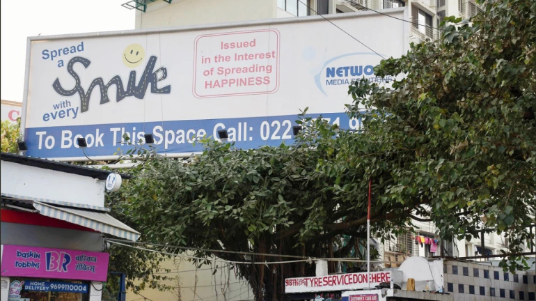 गिरगावातील ३० वर्ष जुन्या वडाच्या झाडावर हातोडा, झाड तोडणाऱ्यांना अटक गिरगावातील ३० वर्ष जुन्या वडाच्या झाडावर हातोडा, झाड तोडणाऱ्यांना अटक