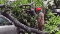 मुंबईसह ठाण्यात मुसळधार पावसाचा फटका मुंबईसह ठाण्यात मुसळधार पावसाचा फटका