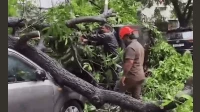 मुंबईत मुसळधार पावसाचा कहर मुंबईत मुसळधार पावसाचा कहर