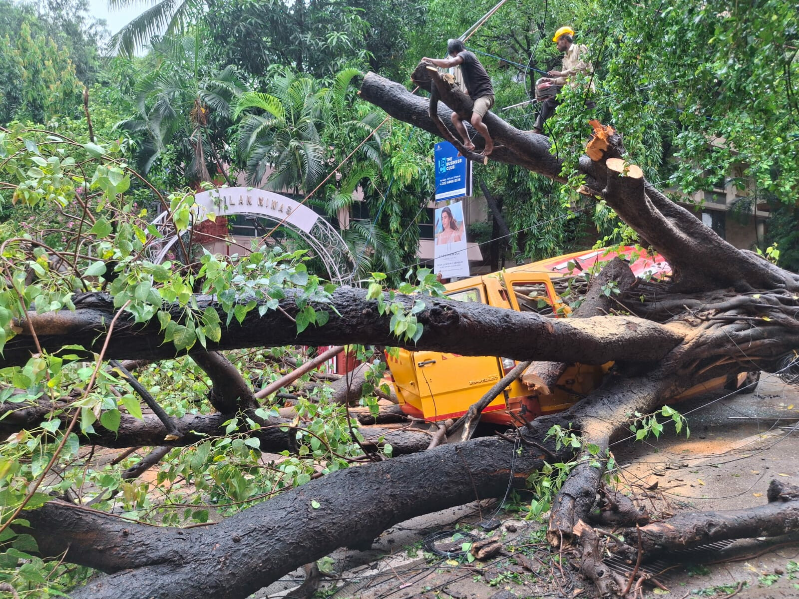 Mumbai: Tree Falls on School Van in Chembur, Students Rescued Safely