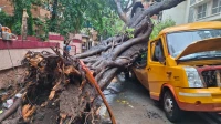 चेंबूर: शाळेच्या बसवर झाड कोसळून मुलं जखमी चेंबूर: शाळेच्या बसवर झाड कोसळून मुलं जखमी