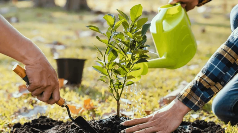 Proposal for Tree Plantation on 4-Acre Plot in Kurla, Powai, and Borivali Submitted for Approval Proposal for Tree Plantation on 4-Acre Plot in Kurla, Powai, and Borivali Submitted for Approval