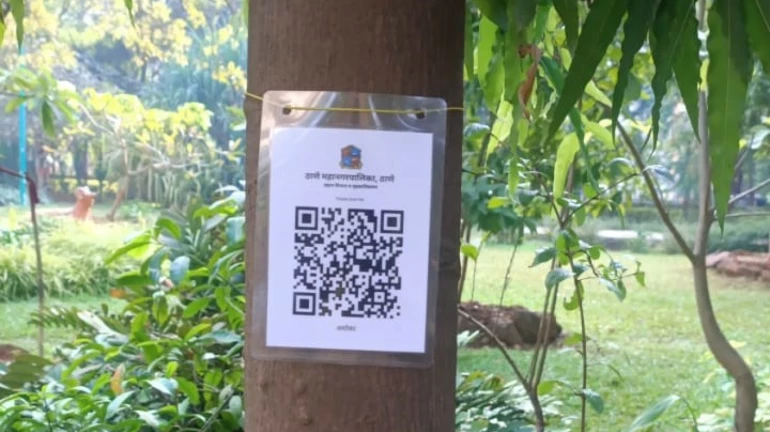 ठाणे नगर निगम पार्कों में पेड़ों के बारे में जानकारी प्राप्त करने के लिए QR कोड लगाया गया