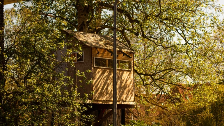 Now, Mumbaikars To Get A Treehouse At "This" Spot