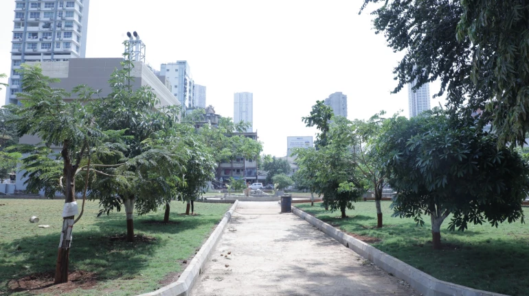 82 New Trees Planted at Mumbai's Siddhivinayak Metro Station