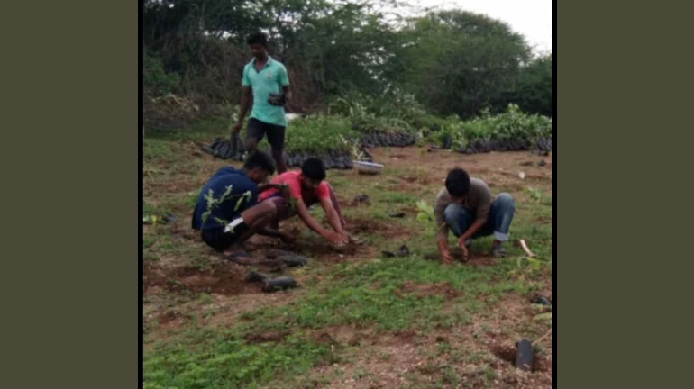 Maharashtra: 40,000 trees seed hope for Yavatmal residents amid agrarian distress, unstable climate conditions Maharashtra: 40,000 trees seed hope for Yavatmal residents amid agrarian distress, unstable climate conditions
