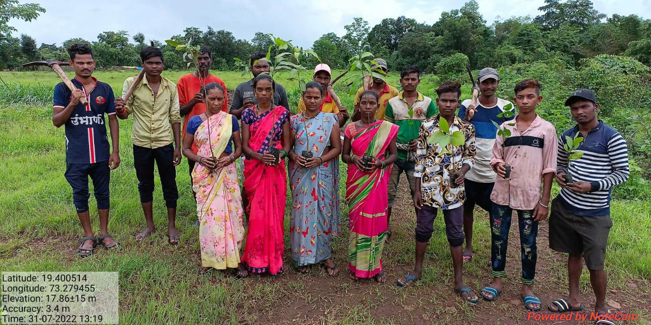 Trees for MMR: More than 85,000 plants to offer green cover in Thane