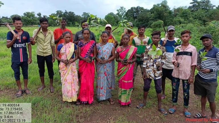 Trees for MMR: More than 85,000 plants to offer green cover in Thane Trees for MMR: More than 85,000 plants to offer green cover in Thane