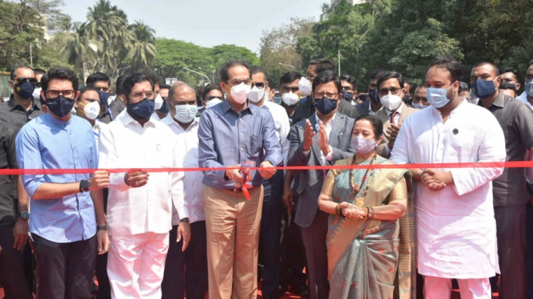 पुढच्या ५ वर्षांत मुंबईतील महत्त्वांच्या रस्त्यांवर सायकल ट्रॅक बांधणार- आदित्य ठाकरे पुढच्या ५ वर्षांत मुंबईतील महत्त्वांच्या रस्त्यांवर सायकल ट्रॅक बांधणार- आदित्य ठाकरे