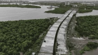 Mumbai Coastal Road: BMC Begins 15,000 Trees Plantation Before Monsoon Mumbai Coastal Road: BMC Begins 15,000 Trees Plantation Before Monsoon