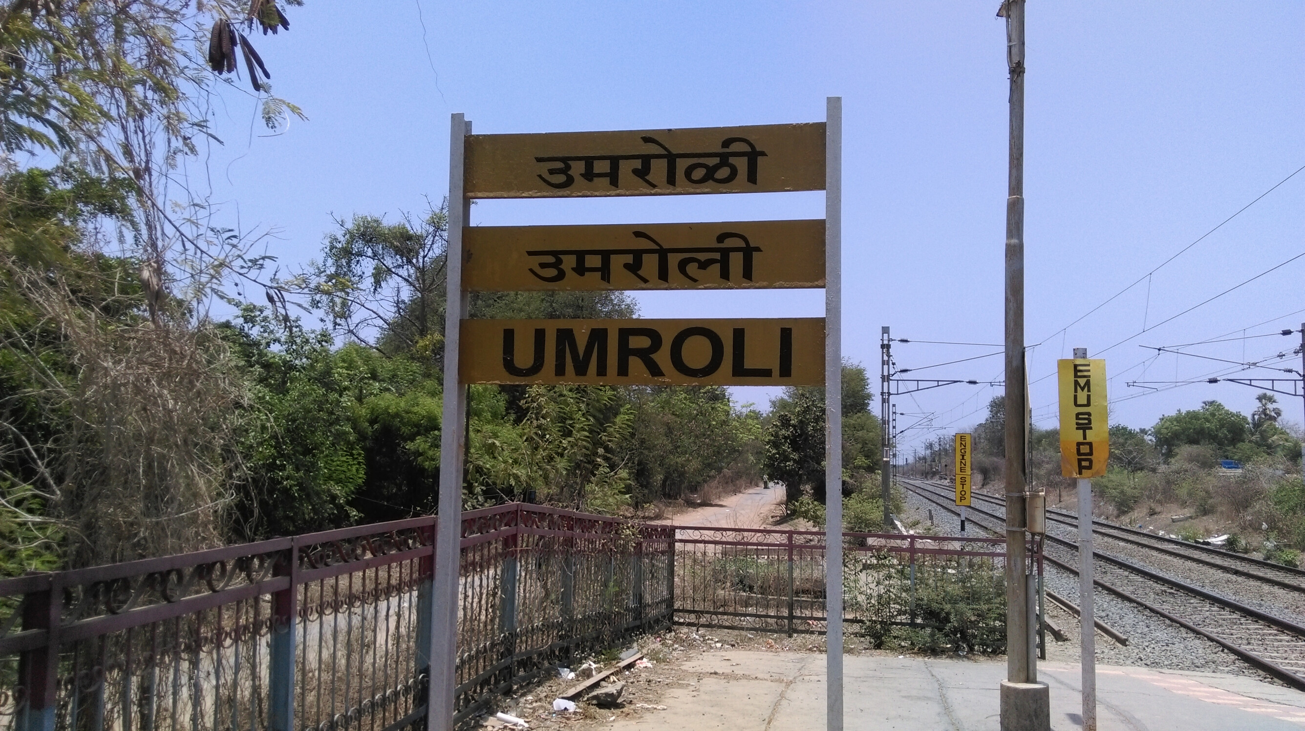 पालघर- चोर होने के संदेह में व्यक्ति को पीट-पीटकर मार डाला