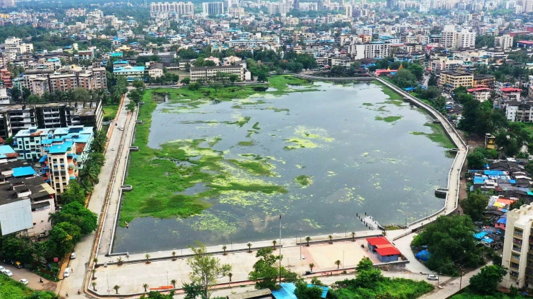 पनवेलमधील वडाळे तलाव होतोय अस्वच्छ पनवेलमधील वडाळे तलाव होतोय अस्वच्छ