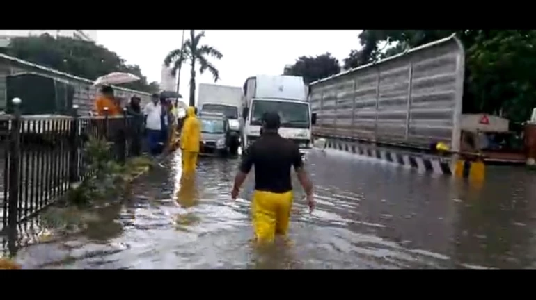Mumbai Rains मुसळधार पावसामुळं रेल्वे वाहतूक ठप्प, अनेक गाड्या रद्द
