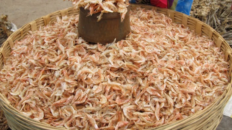 कोरोनामुळं मरोळच्या सुक्या मासळी बाजारात खवय्यांची पाठ कोरोनामुळं मरोळच्या सुक्या मासळी बाजारात खवय्यांची पाठ