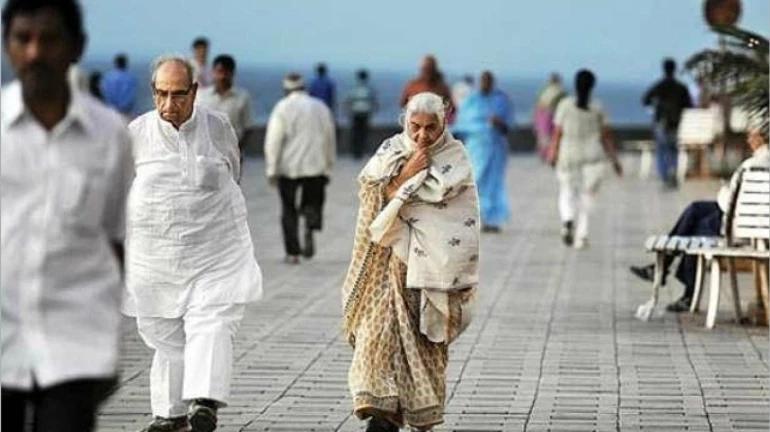 राज्यात थंडी वाढणार; पहाटेच्या वेळी तापमानात घट राज्यात थंडी वाढणार; पहाटेच्या वेळी तापमानात घट