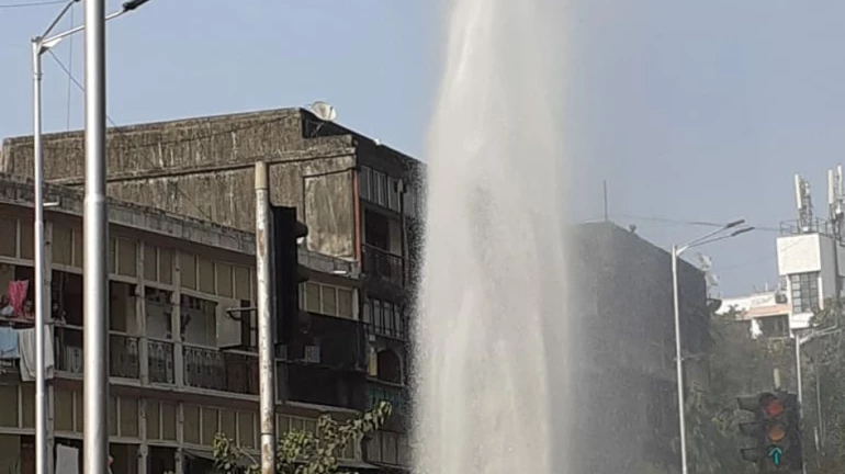 Water pipeline bursts at Dadar Water pipeline bursts at Dadar