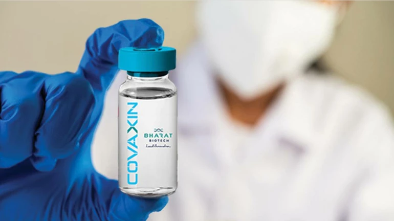 दुनिया भर में लगेगी सीरम इंस्टिट्यूट की वैक्सीन, WHO ने दी मंजुरी दुनिया भर में लगेगी सीरम इंस्टिट्यूट की वैक्सीन, WHO ने दी मंजुरी