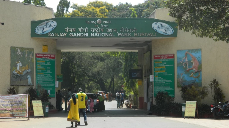 Over 28,000 tourists visited the Sanjay Gandhi National Park in January 2021
