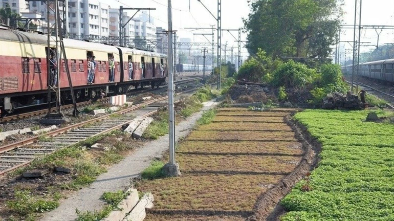 रेलवे ट्रैक के किनारे सब्जियां नहीं उगाई जाएगी, रेलवे ने की सख्ती