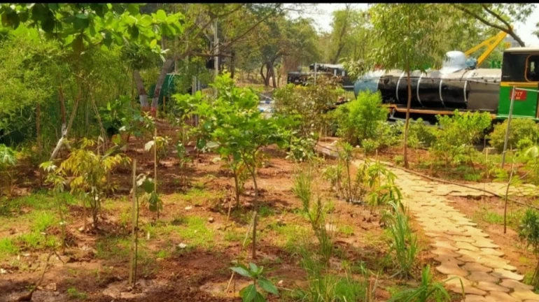 सीएसएमटीमध्ये फुलणार औषधी बाग