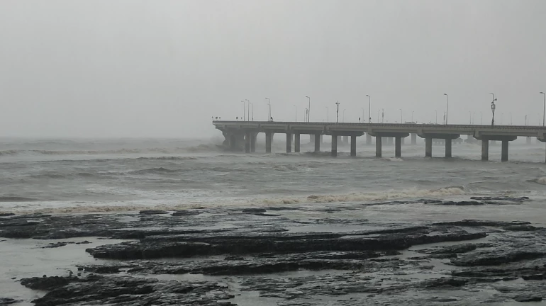 Cyclone Tauktae : चक्रीवादळाला तोंड देण्यासाठी मुंबई सज्ज Cyclone Tauktae : चक्रीवादळाला तोंड देण्यासाठी मुंबई सज्ज