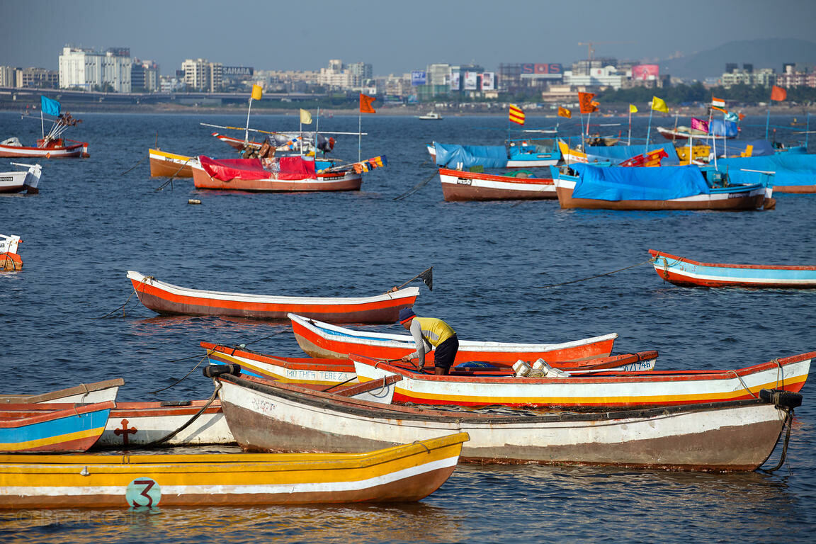 Cyclone Tauktae : तूफान से नाव या मछली पकड़ने का जाल क्षतिग्रस्त हो जाता है तो संपर्क करने की अपील